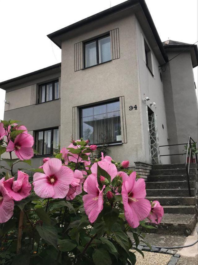 Apartman Hruba Skala Apartament